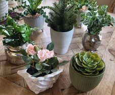 Artificial Plants in Ceramic Pots x7