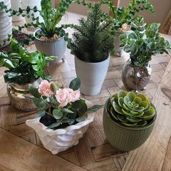 Artificial Plants in Ceramic Pots x7