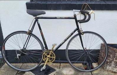 Raleigh Record 501 racer