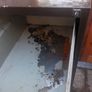 steel filing cabinet (with key) Image 4