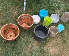 Terracotta pots
