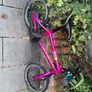 Islabike Image 4