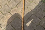walking stick