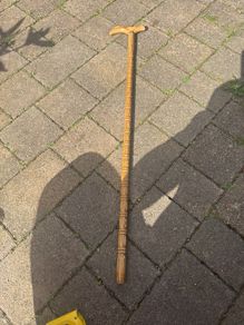walking stick