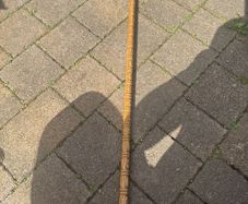 walking stick