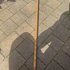walking stick