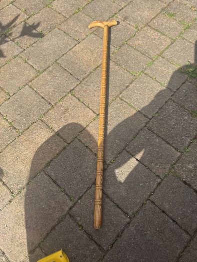 walking stick