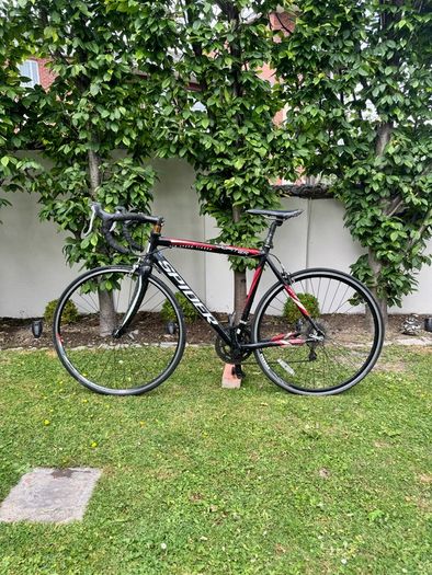Spider Road Bike