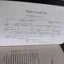 Medici Money by Tim Parks 2005 hardback with dustcover in very good condition with some signs of wear on the dustcover see photos FREE STANDARD POSTAGE INCLUDED Image 8