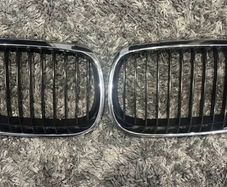 Bmw kidney grills