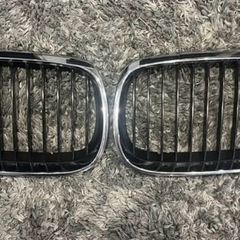 Bmw kidney grills