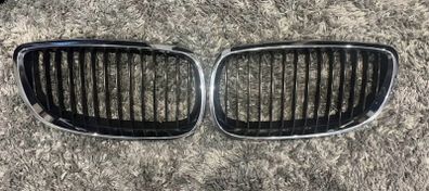 Bmw kidney grills