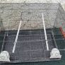 cage Image 2
