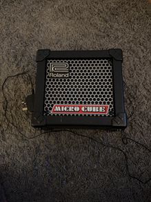 Roland speaker