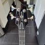 bass Image 4