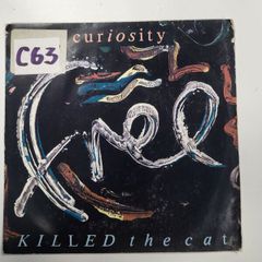 Curiosity Killed The Cat Free