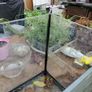 Aquarium Image 4