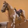 Horse our Generation Image 6