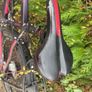 ladies mountain bike Image 3