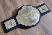 Big Gold World Heavyweight Wrestling Championship Replica Kids
