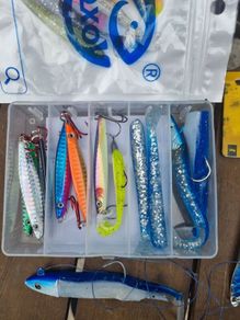 sea bass lures (new)