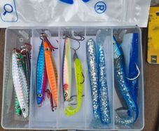 sea bass lures (new)