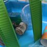 Hamster Cage with Accessories Image 6