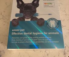 pet care