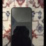 iPhone 11 Image 2