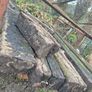 Garden Image 2