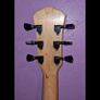 Scrap Guitar Neck And Body Image 5