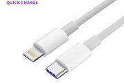 20W USB Type C To Lighting Fast Charger