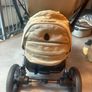 egg pram Image 5