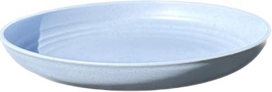 Plastic plates reusable ( only blue left)