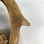 Rare unique antique antler desk set Image 7