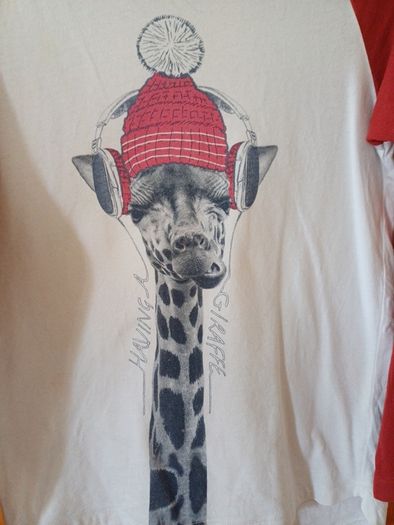 Age 9 NEXT Giraffe Top