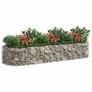 Gabion Raised Garden Bed Image 3