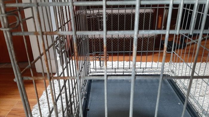 dog cage, dog plastic bed