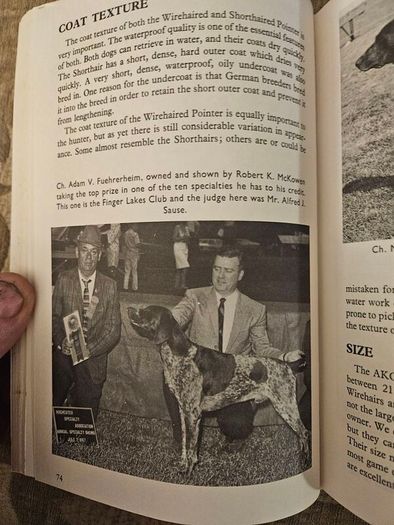 This Is The German Pointer. Shorthaired& Wirehaired. By Louise Zeigler Spirer & Herbert F.spirer. First Edition Hardback In Good Condition.  See Photos For Same.