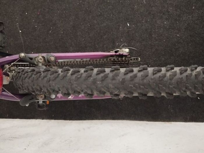 ladies 26inch