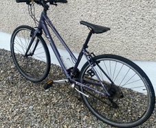 Ladies Bike Liv