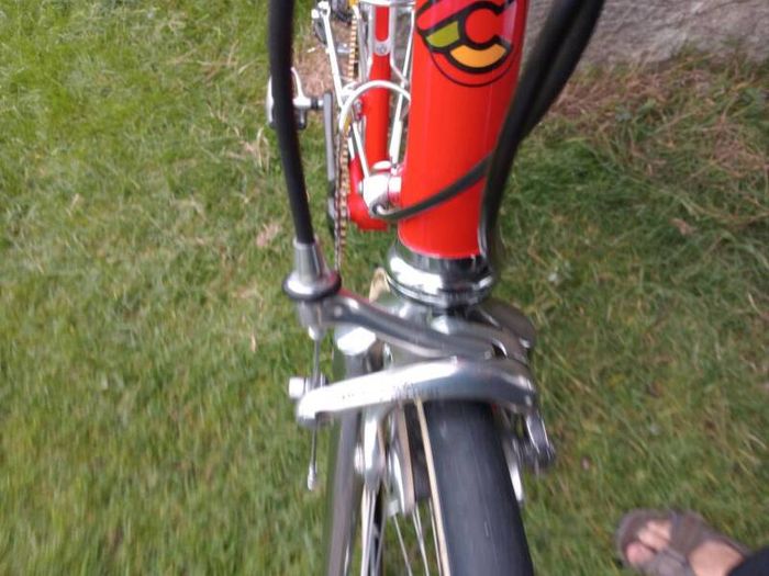 Cinelli Supercorsa SLX New 56cm Campagnolo Record