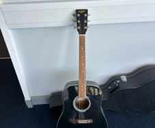 Hohner Countryman guitar