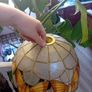 Mother of Pearl butterfly Light Image 6