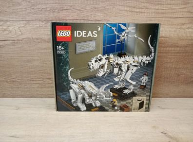 Lego 21320 Dinosaur Fossils