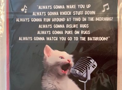 Birthday Card