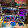 LOL dollhouse Image 2