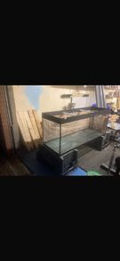 large 375L fish tank
