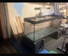 large 375L fish tank