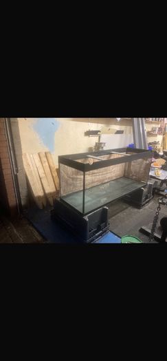 large 375L fish tank